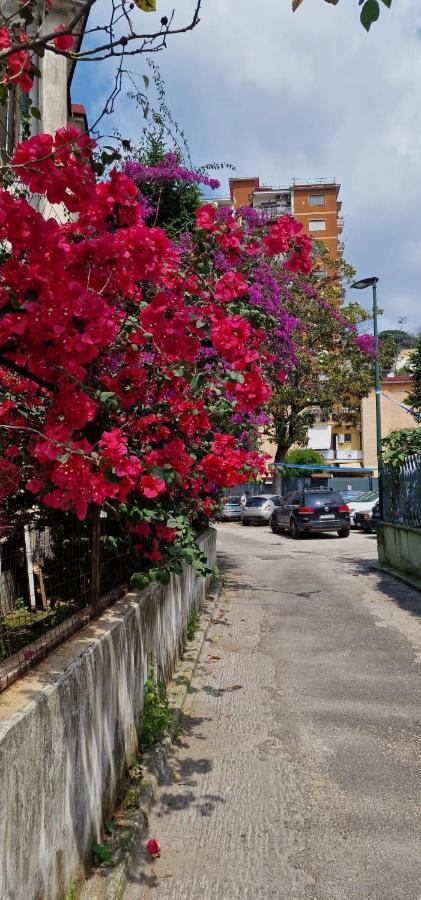B&B Ciruzzo 那不勒斯 外观 照片